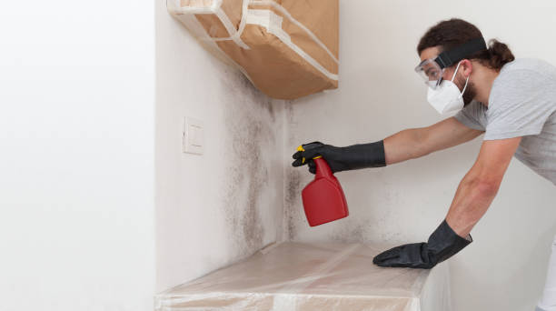 Professional Crawl Space Mold Remediation technician working in Milton, NY